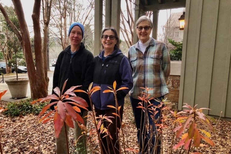 Who’s bringing back native plants to the landscape of Alabama? Take a look and see.