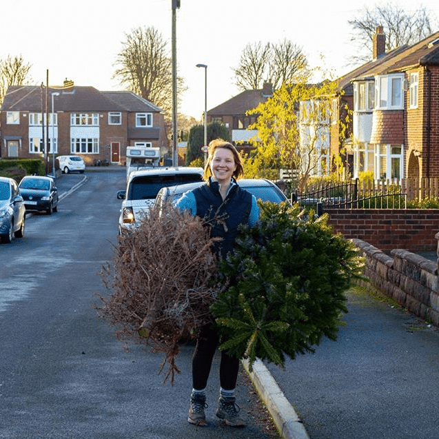 IMG 4805 Recycle your Christmas tree, Birmingham! Here's how.