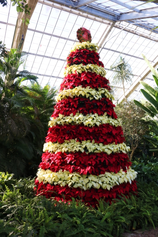 Poinsettia Tree Your gifts can bring good to a Birmingham treasure—here's how.