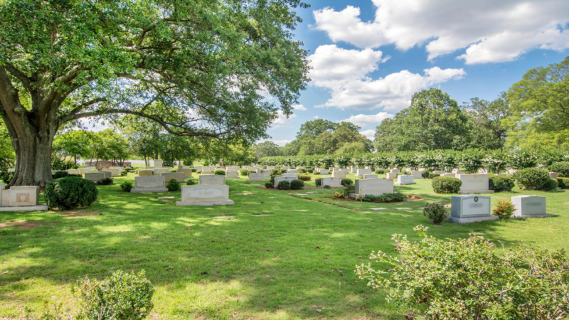 Elmwood Cemetery is in West End