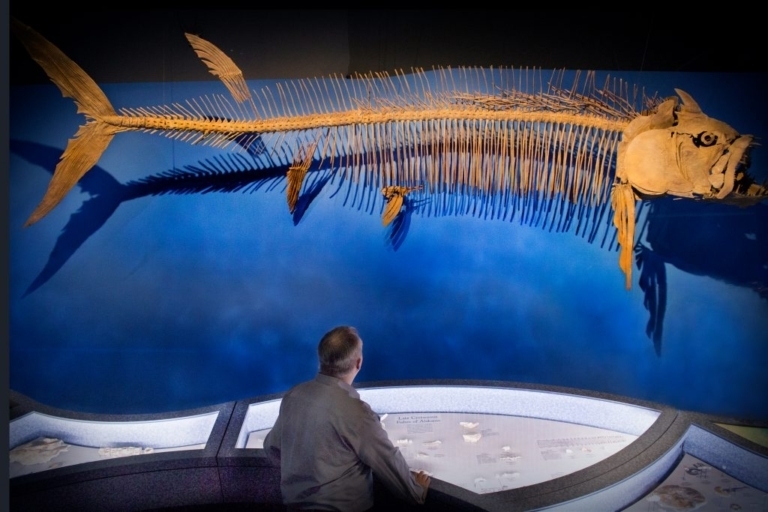 Meet the new ancient shark species found in southern Alabama Meet the new ancient shark species found in southern Alabama