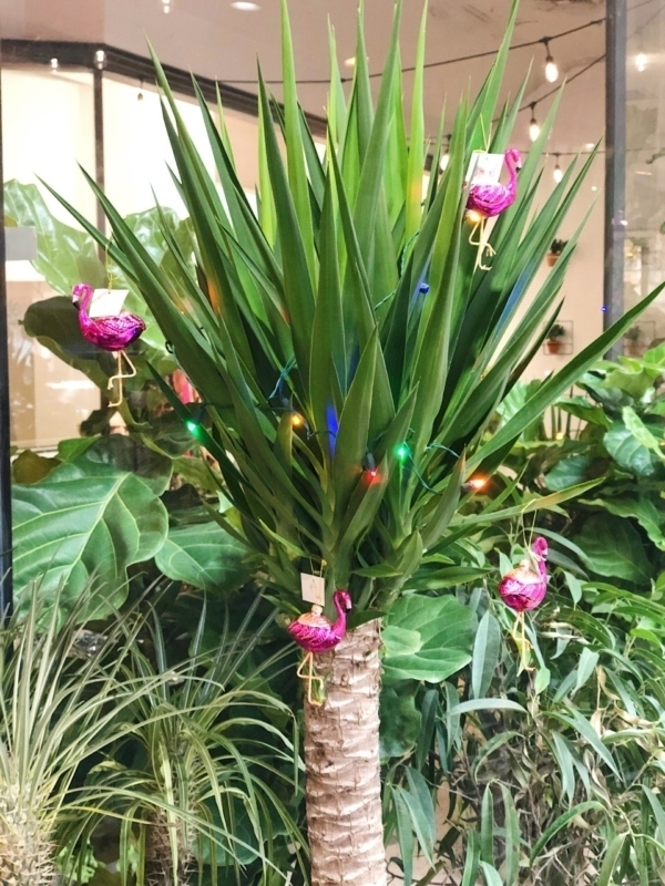A plant with flamingo ornaments on it