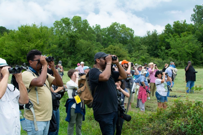 5 ways to celebrate National Bird Day in “BIRDingham” (15 photos) 5 ways to celebrate National Bird Day in “BIRDingham” (15 photos)