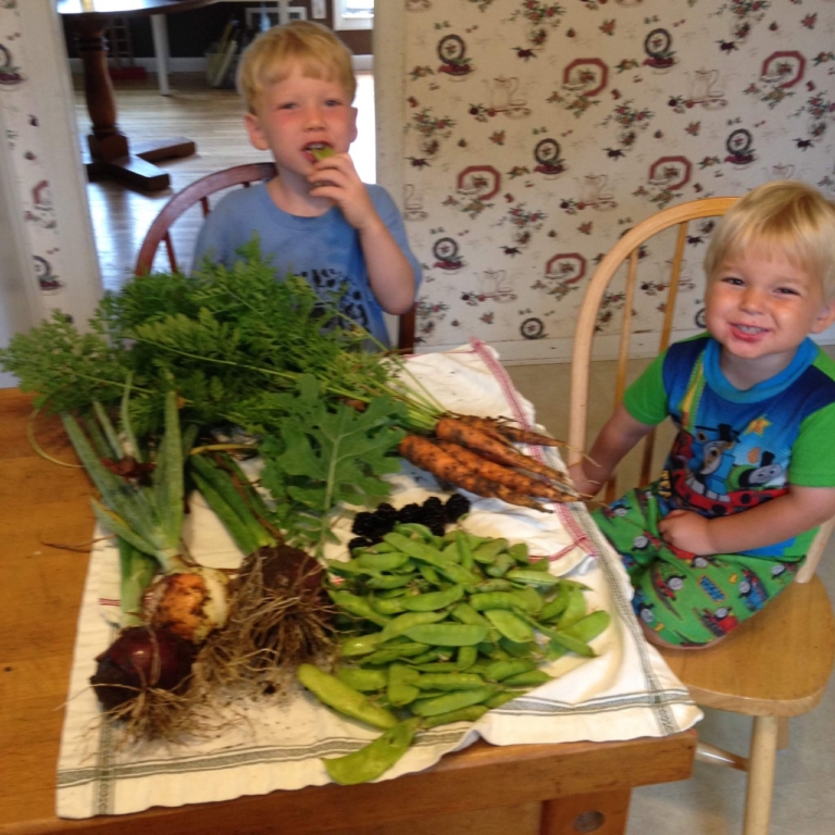 Insider tips for getting your kids to eat healthier from a Birmingham nutritionist Insider tips for getting your kids to eat healthier from a Birmingham nutritionist