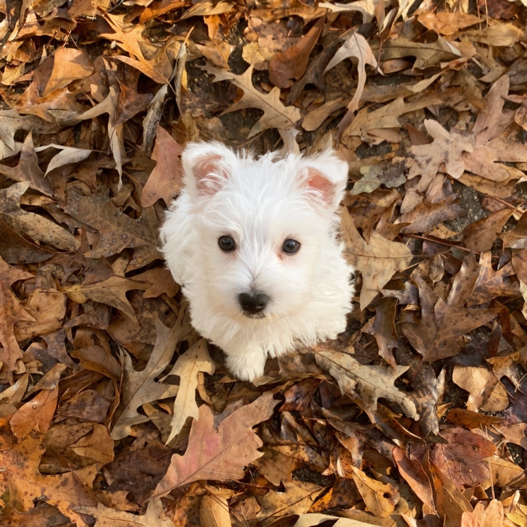 January blues got you down? Check out these ways to perk up in Birmingham!