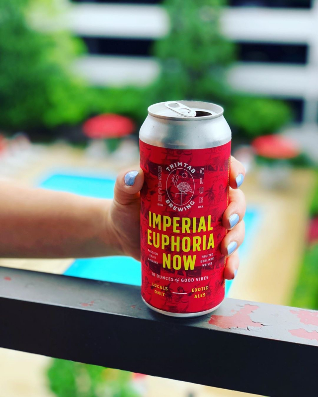 Beer can art and the local Birmingham designers behind it 6 TrimTab Brewing Company