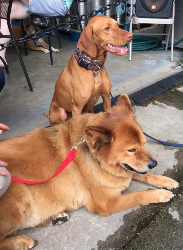 Birmingham, Do Dah Day