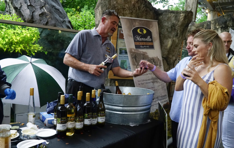 Birmingham, Magic City Wine Fest