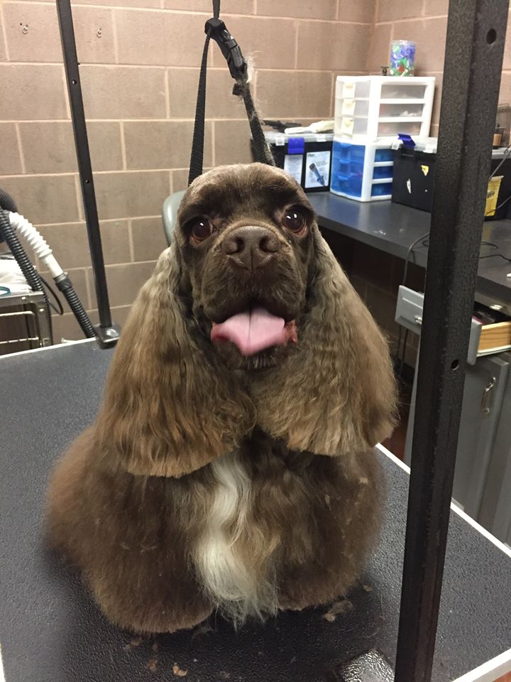 Discover 7 new Hoover businesses opened in the past month—including Clean Juice