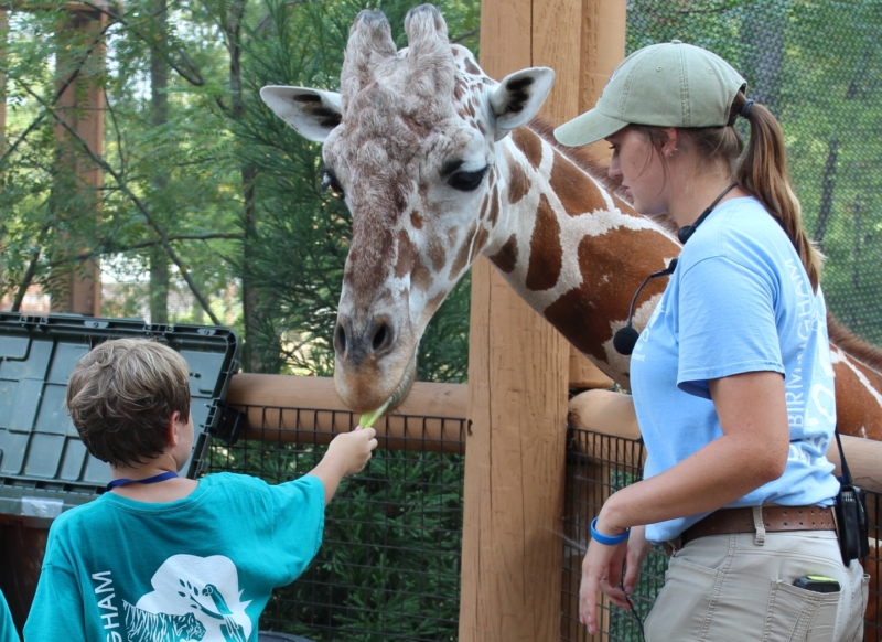 9 cool summer camps in Birmingham to sign your kids up for 8 Birmingham, Birmingham Zoo, The Birmingham Zoo, summer camp