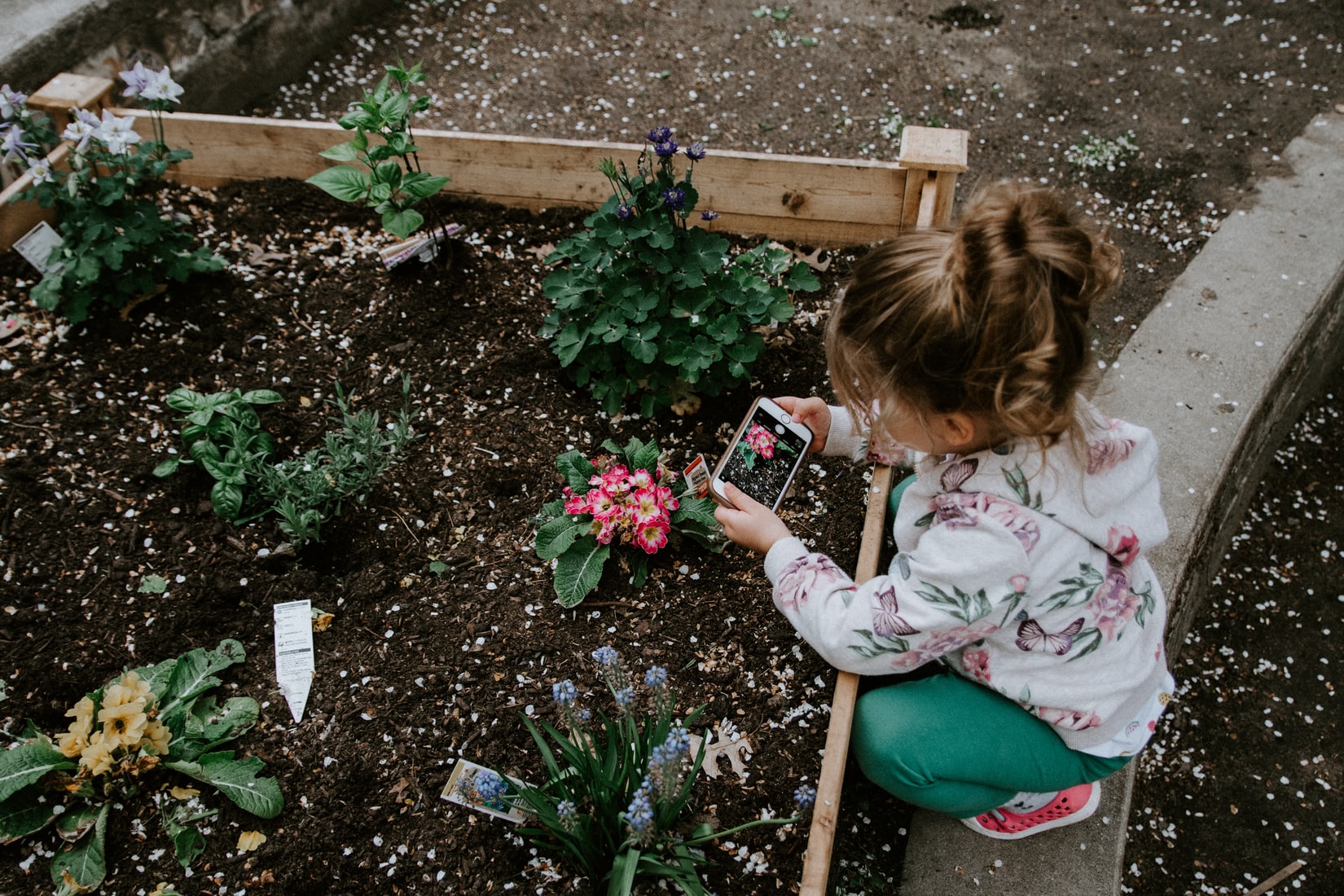 kid gardening Starting a home garden in Birmingham—including tips from Trevor Mann of Walden Farms