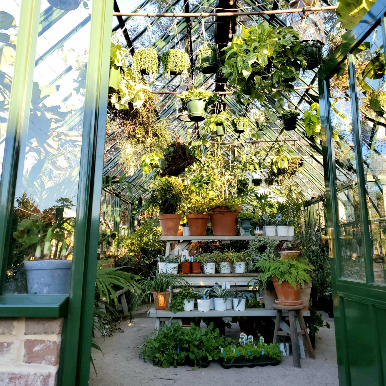 shoppe greenhouse
