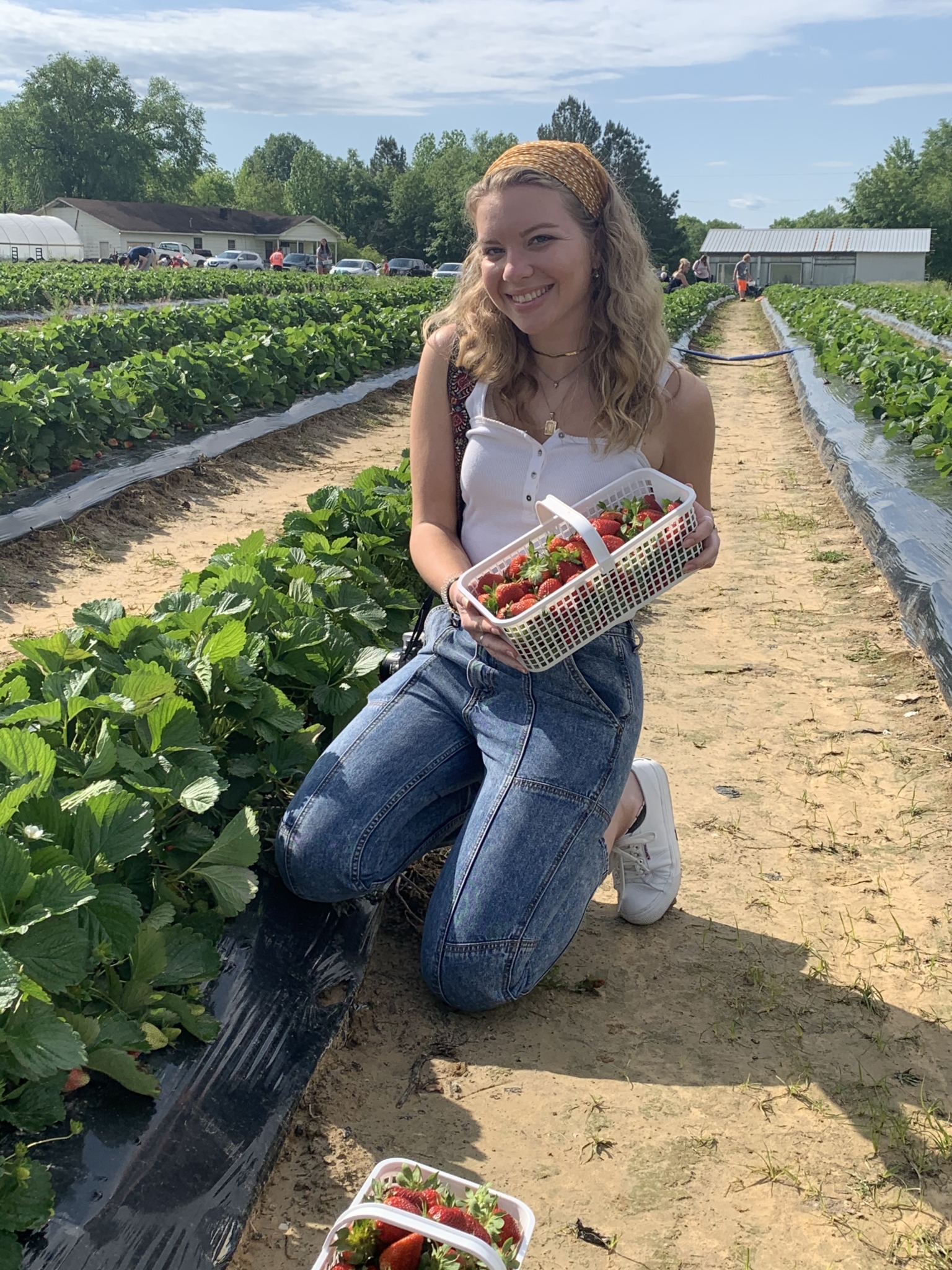 Irene Strawberry UPICK 6 freshest U-pick strawberry farms just a short drive from Birmingham