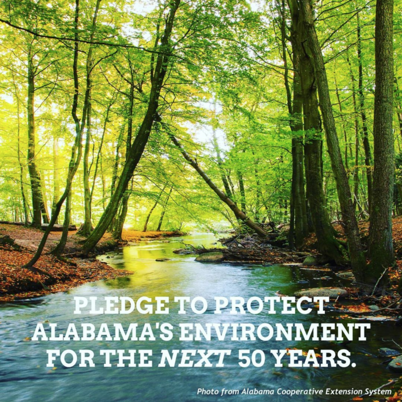 Screen Shot 2020 05 28 at 4.53.17 PM 15 environmental nonprofits who need your support now, including Alabama Audubon