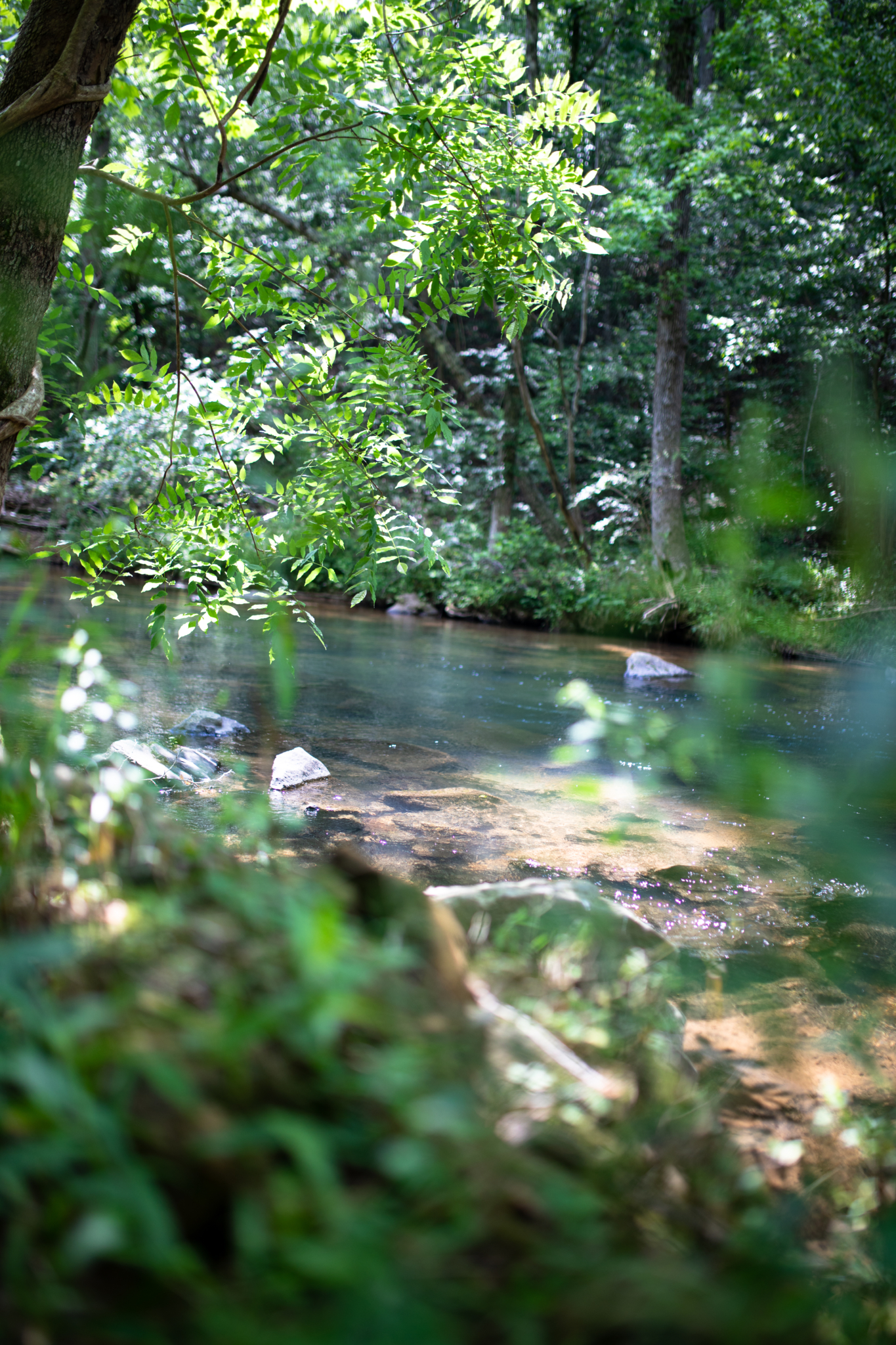 11 awesome May events in Birmingham including Do Dah Day 6 Adamson Ford Turkey Creek 13 11 awesome May events in Birmingham including Do Dah Day