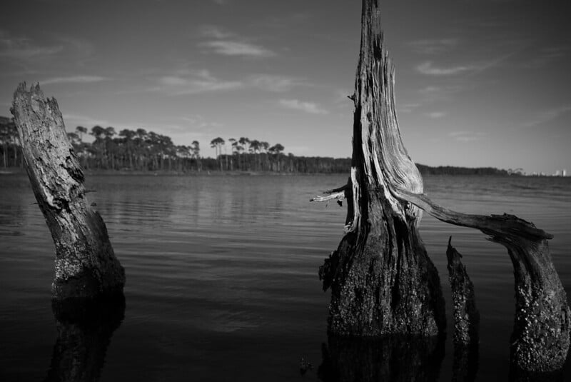Get an inside look at Alabama’s 10 Natural Wonders 23 years later 12 Bon Secour NWR Natural Wonder Get an inside look at Alabama’s 10 Natural Wonders 23 years later