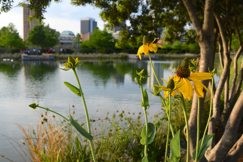 Railroad Park