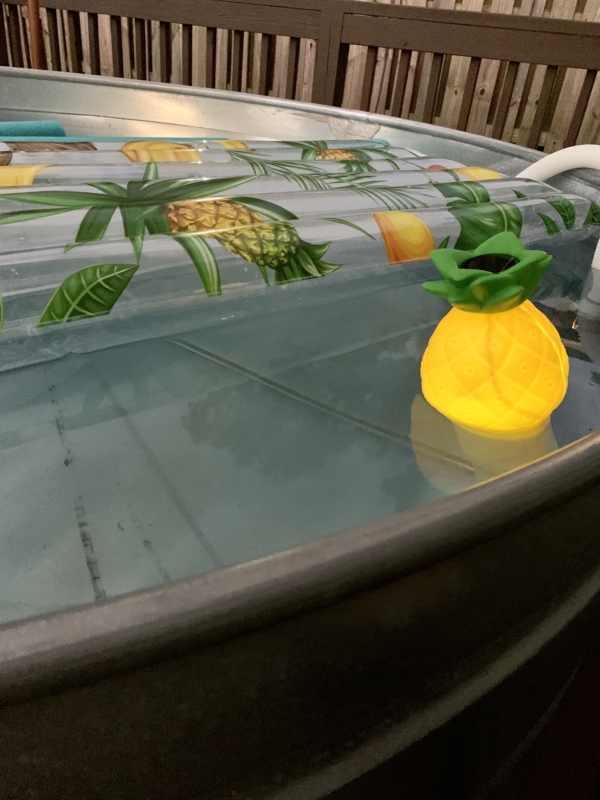 Birmingham, stock tank pool, trends, DIY pool, backyard pool