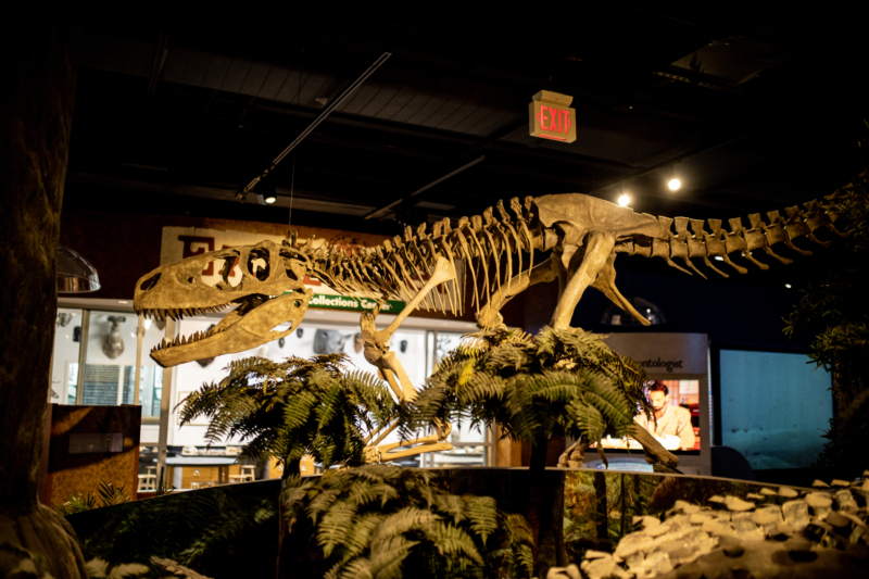 Birmingham, McWane Science Center, Alabama Dinosaurs, dinosaurs