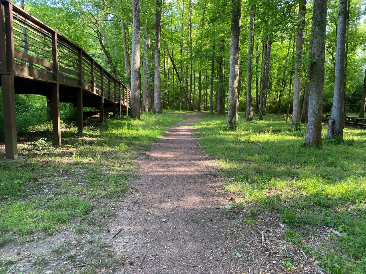 19 hidden trails in Birmingham + how exploring them can boost your