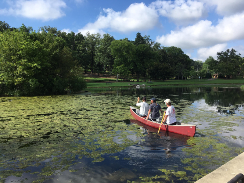 Alabama Audubon is tracking Avondale Park’s “baby green herons" and they are adorable (photos) 2 Alabama Audubon Green Heron Alabama Audubon is tracking Avondale Park’s “baby green herons" and they are adorable (photos)