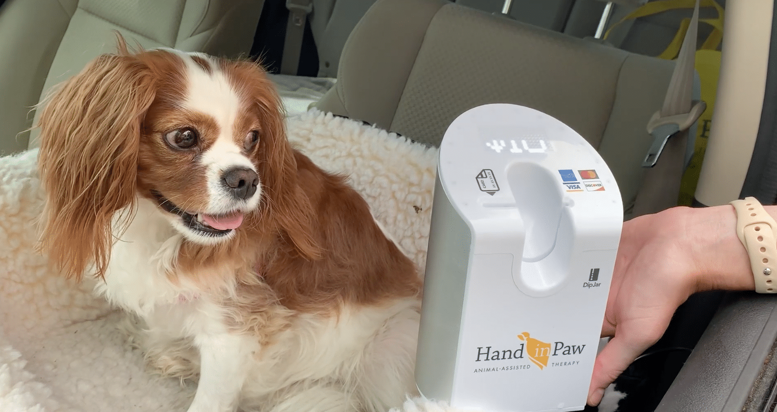Get Tail-Waggin’ Takeout + support a paw-some cause 8 Tip Jar Get Tail-Waggin’ Takeout + support a paw-some cause