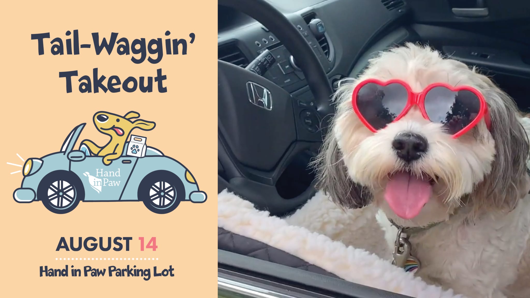Get Tail-Waggin’ Takeout + support a paw-some cause 1 YouTube Card2 scaled Get Tail-Waggin’ Takeout + support a paw-some cause