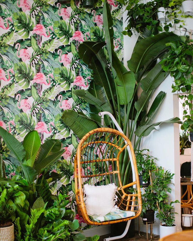 Botanica 2 The writing is on the wall(paper) for this rising interior design trend