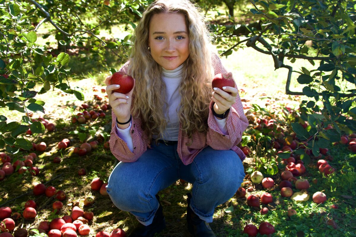 Where to go apple picking around Birmingham + the easiest apple galette recipe ever