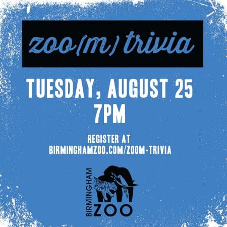 Zoom Trivia Aug 01 1 scaled e1597423187328 suXLcd.tmp Zoo(m) Trivia Night
