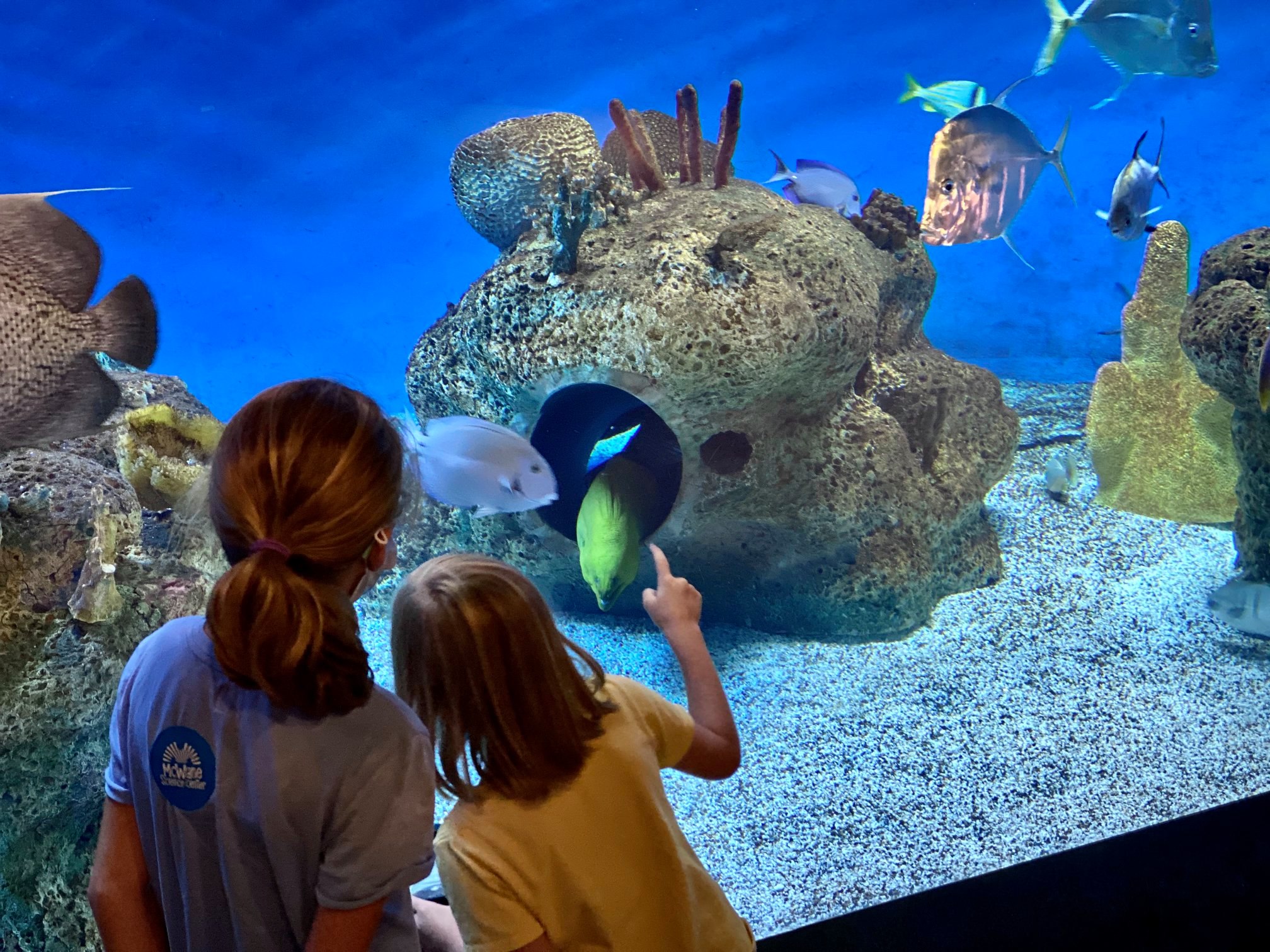 7 reasons McWane Science Center was named tourist attraction of the year 3 Birmingham, McWane, McWane Science Center, science