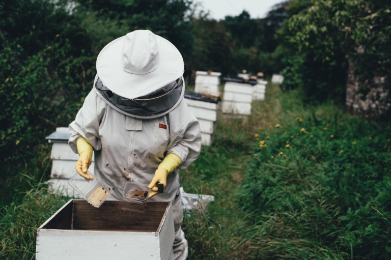 What’s the buzz on Birmingham’s local beekeeping community?