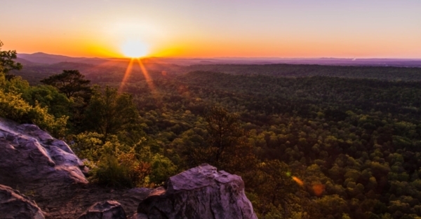 Alabama moves up nationally in biodiversity, according to BSC scientist 5 Oak Mountain