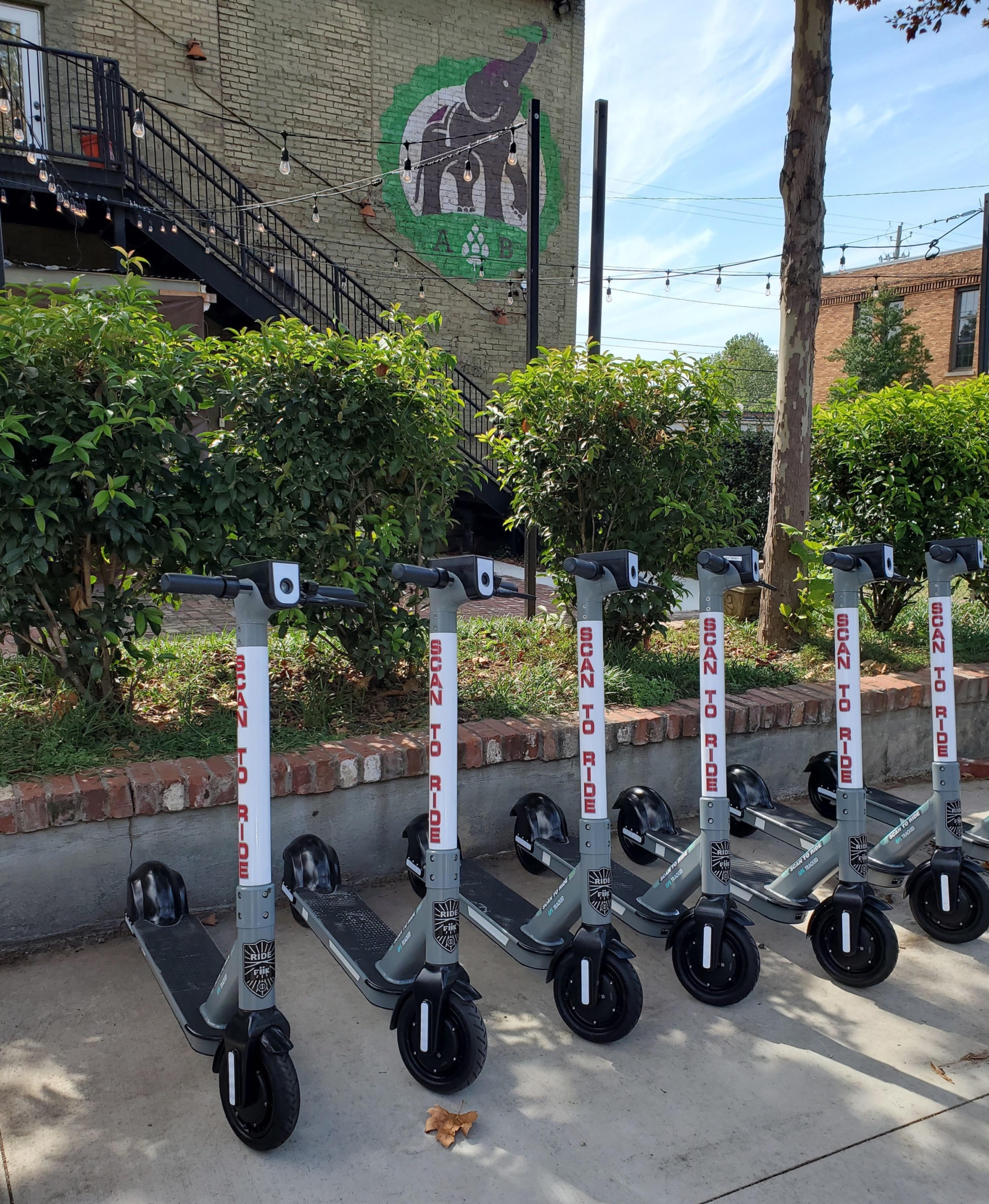 Scooters for rent outside of Avondale Brewery