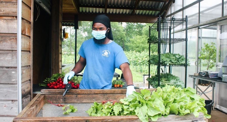 Since March, United Way Community Crisis Fund awarded 4,817 in grants to 90 nonprofits. Phase 2 has started.