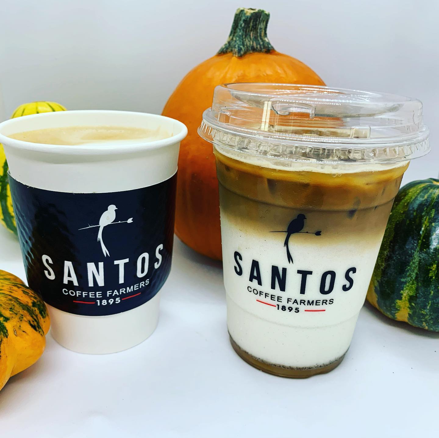 Hot coffee drink, iced coffee drink, and mini pumpkins at Santos - Birmingham coffee shops