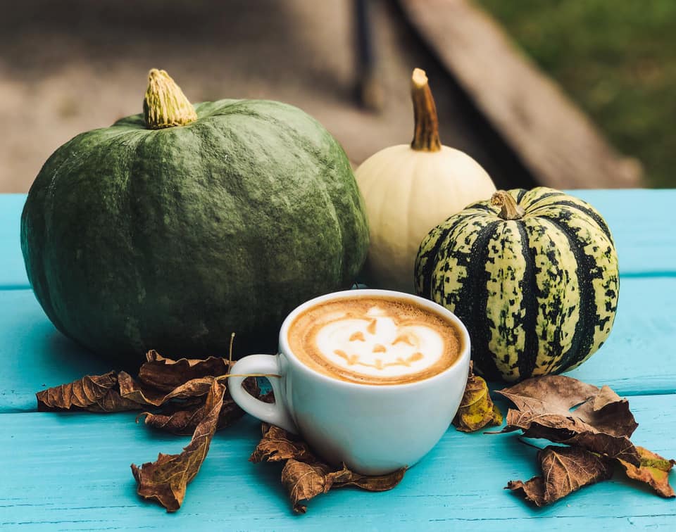 Seeds Coffee 9 Birmingham coffee shops to try this fall