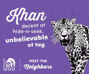 See Khan play tag at the BIrmingham Zoo