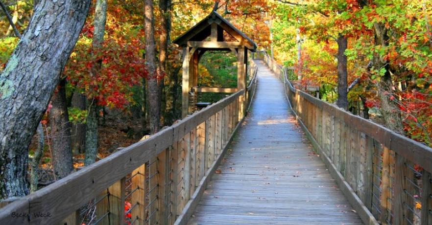 cheaha state park Food, adventure and retail deals for the veterans in your life
