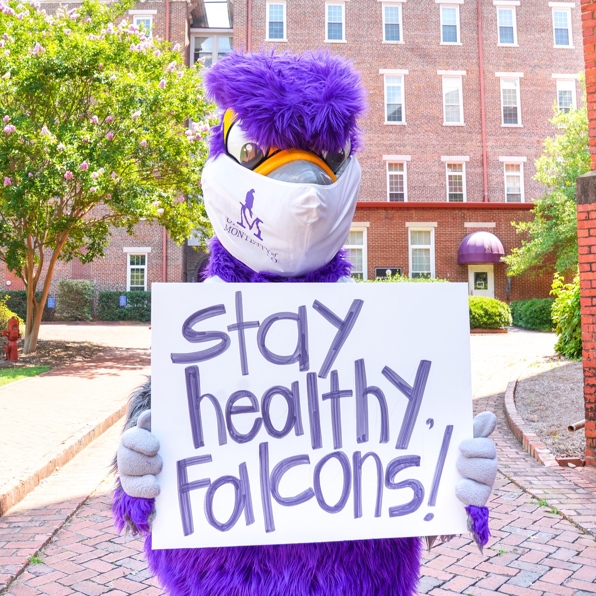 How 7 Birmingham-area colleges & universities are preventing the spread of COVID-19 7 Birmingham, Montevallo, University of Montevallo Theatre Department