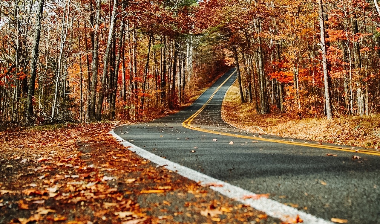 IMG 18441 Pack your bags! 3 types of fall getaways you can enjoy in DeKalb County