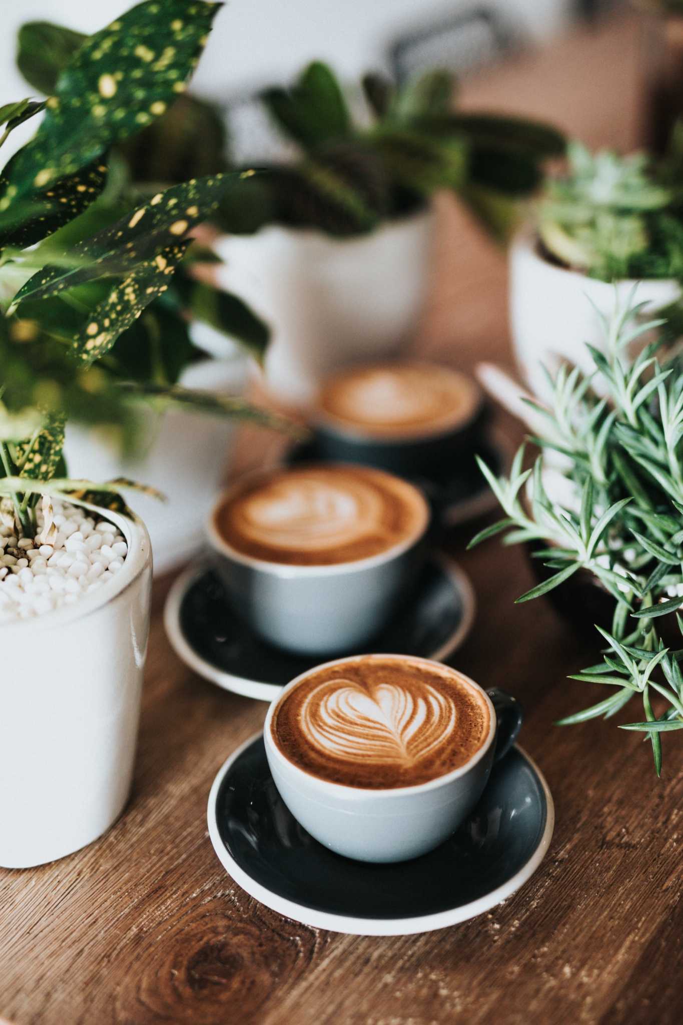 Did you know startup starts are booming in Alabama right now because of COVID? 8 shallow focus photography of coffee late in mug on table