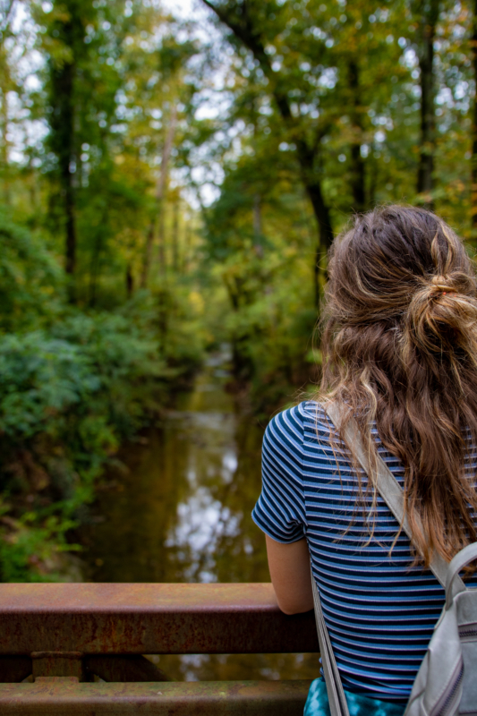 Your ultimate guide to 17 Birmingham walking and hiking spots 17 Jemison Park 33 Your ultimate guide to 17 Birmingham walking and hiking spots