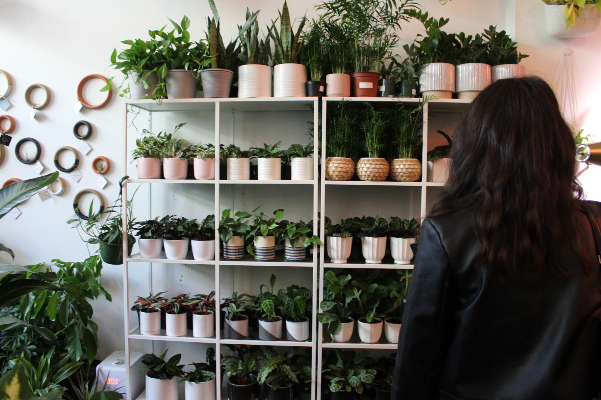 Botanica is closing at the end of the year Botanica is closing at the end of the year