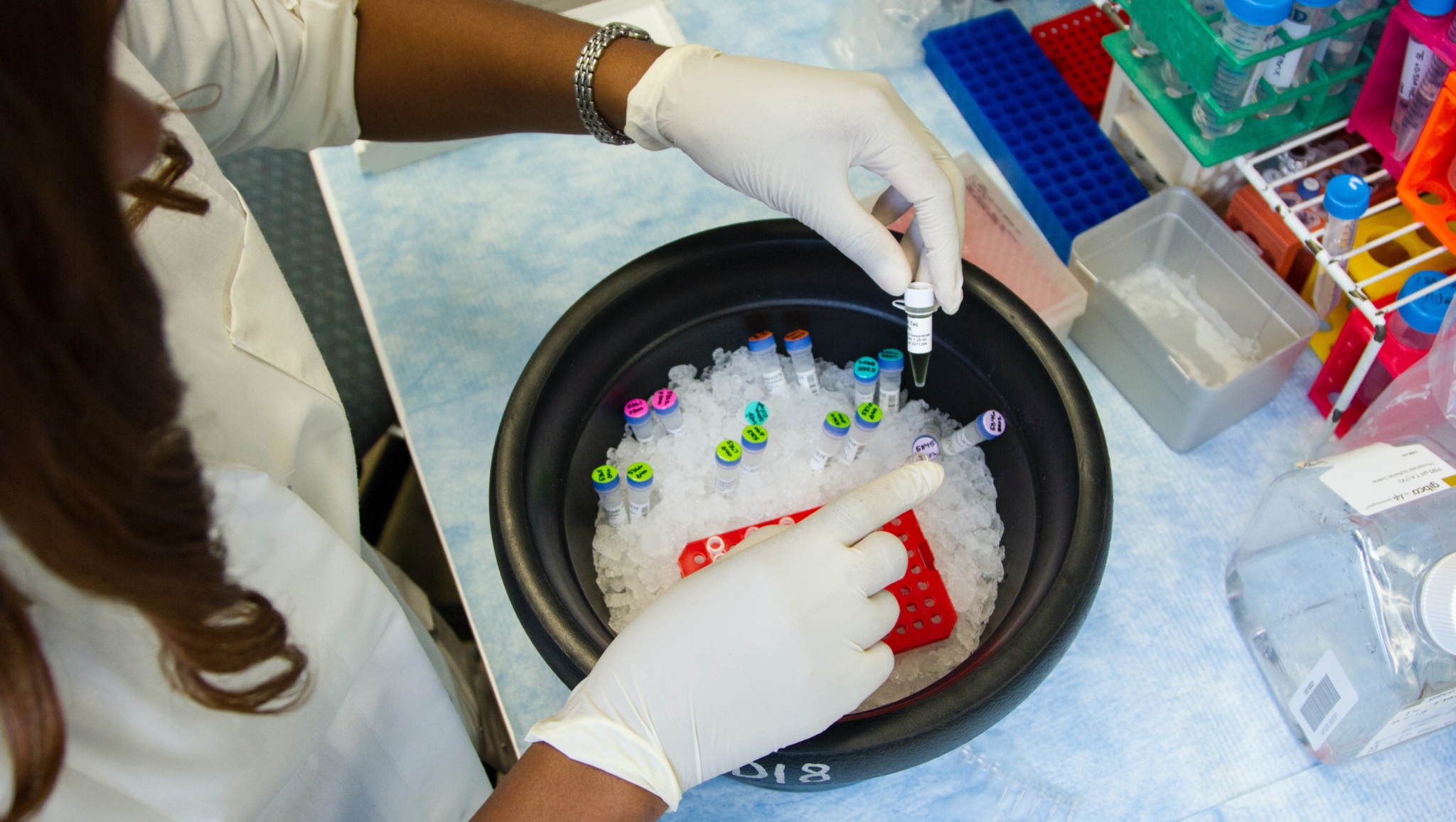 State health officials share COVID-19 updates, including Thanksgiving plans + vaccine information 5 national cancer institute 1fvqUP xaYQ unsplash State health officials share COVID-19 updates, including Thanksgiving plans + vaccine information