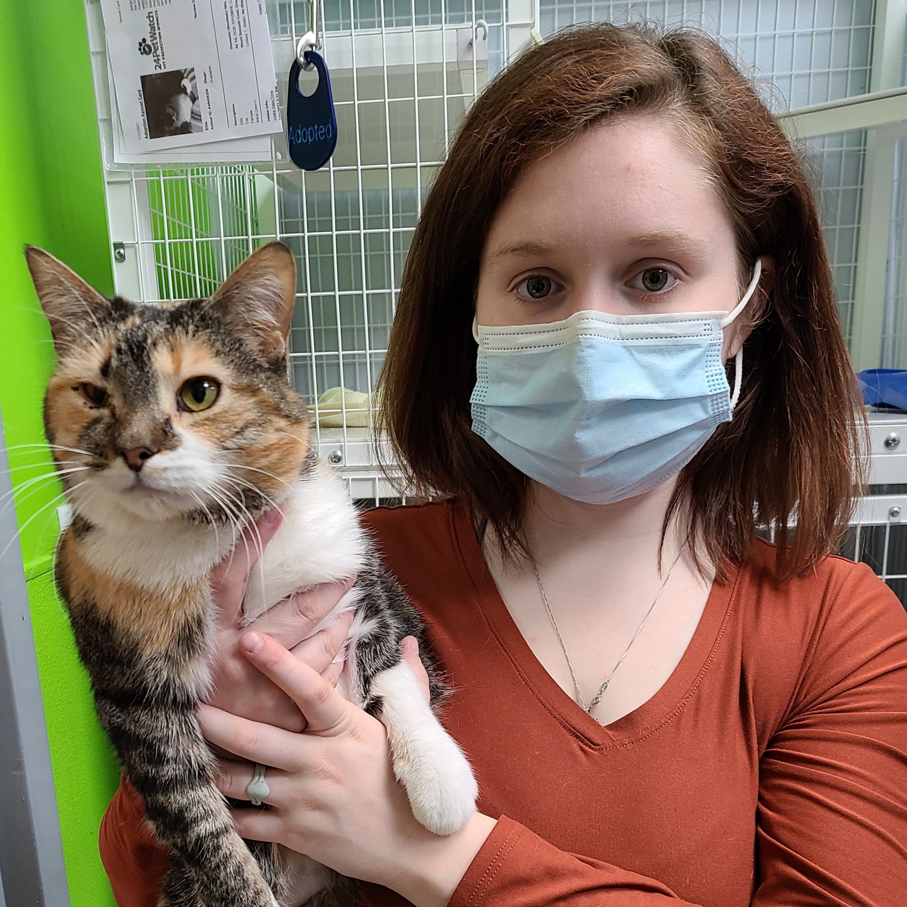 Bamabuzz Shelby Humane