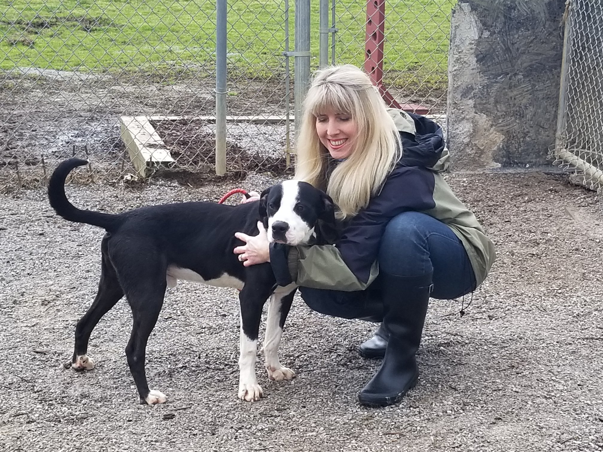 Bamabuzz Shelby Humane