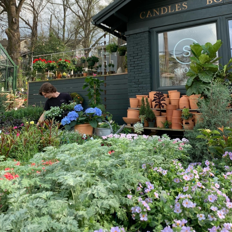 9 Instagram-worthy spots in Birmingham for your next photos 2 Plants and flowers outside of Shoppe Green House in Birmingham, AL - Instagram-worthy photo spots in Birmingham