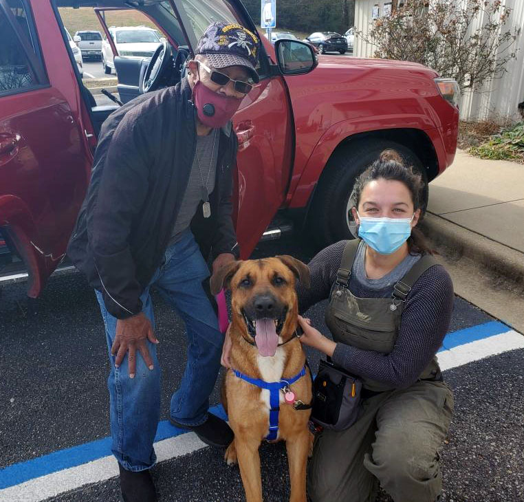 Bamabuzz Animal Adoption