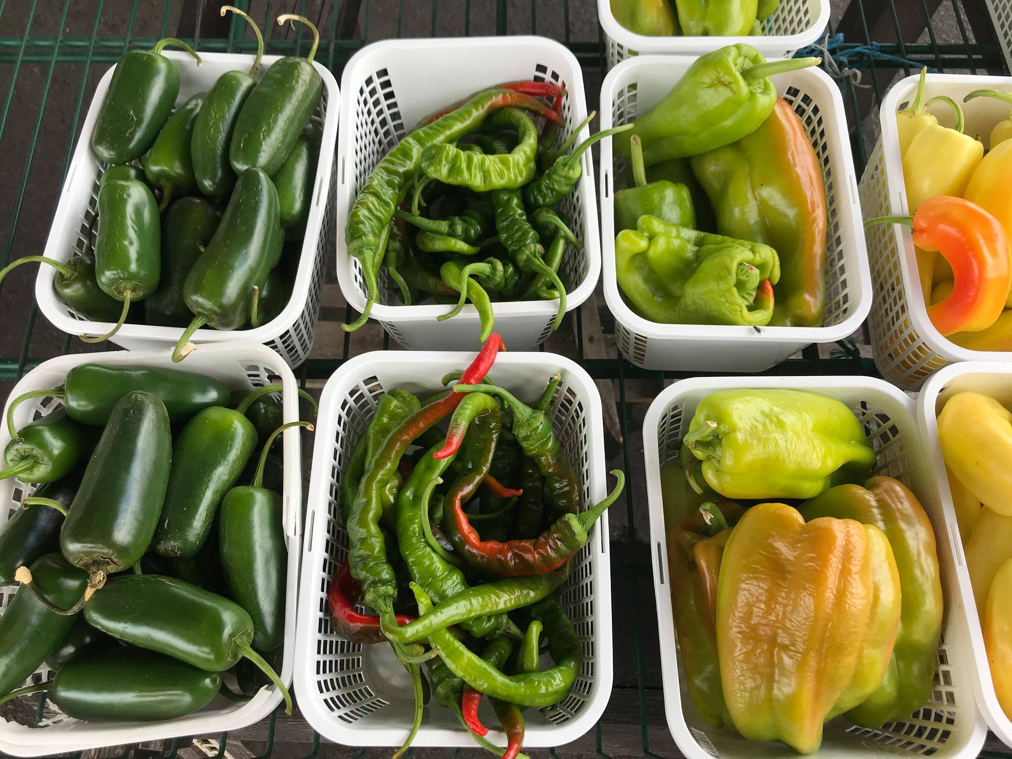 peppers at Alabama Farmers Market at farmers markets in Birmingham